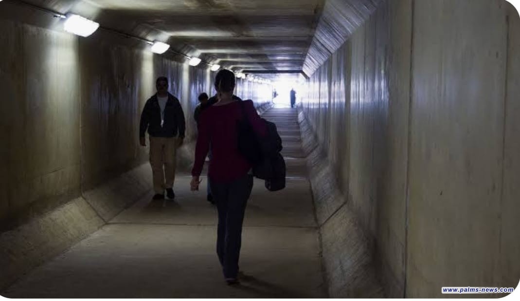 الدفاع الأمريكية تدرس طرد المتحولين جنسيا من الجيش